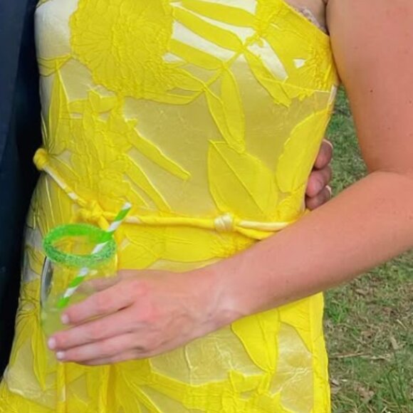 Alexis Yellow Alik Floral-Embroidered Minidress - Picture 2 of 2